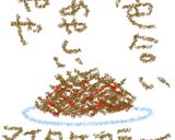 舞茸の炊き込みご飯作り方8写真