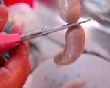 手作りソーセージ～クリスマスに～作り方8写真