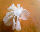 楽しい柑橘類の皮のむき方作り方7写真
