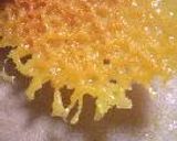 水菜と三種チーズのサラダ作り方5写真