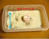 トースターで☆簡単ハムカツ作り方5写真