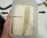 ➏　くるっと丸まらない♫海老フライ　➏　作り方5写真