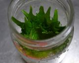 長持ち!~大葉の保存方法~作り方4写真