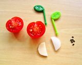 お弁当に♪プチトマトでリンゴ作り方1写真