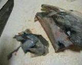 新巻鮭で料理に挑戦！作り方5写真