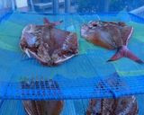 魚のみりん干し作り方7写真