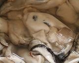 牡蠣のオイル漬けカレー風味作り方1写真