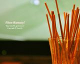 お家で本格楽しい串カツ（串揚げ）作り方11写真