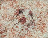 塩麹（紅桜）作り方5写真