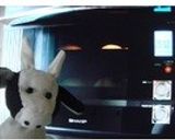 メープルシロップのクグロフ作り方6写真