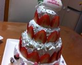 2011年クリスマス作り方3写真