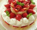 2011☆サンタさんのお家ケーキ作り方19写真