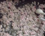 【マンガ飯】銀のスプーンの肉味噌作り方2写真