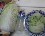 たくさん食べる白菜作り方5写真