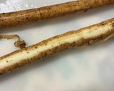 本つゆで！きんぴらごぼう作り方1写真
