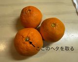 丸ごとみかんケーキ作り方1写真