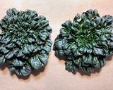 ターサイのグリーンスムージー 久々の苦み作り方1写真