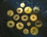 黄人参のクミンサラダ作り方1写真