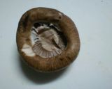 【弁当】椎茸のツナ詰【おつまみ】作り方1写真