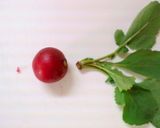 お正月おせち＊菊花かぶをラディッシュで♪作り方1写真
