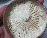 ◆おつまみ◆おしゃれな椎茸のチーズ焼き作り方2写真