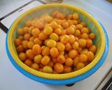 金柑の甘露煮作り方4写真