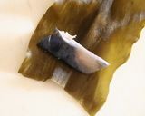 おせちに・新巻き鮭の昆布巻き作り方2写真