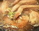 鶏手羽先の甘口中華煮作り方8写真