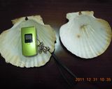 ホタテの貝焼き作り方8写真