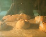 自家製天然酵母のカンパーニュ作り方14写真