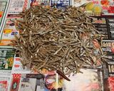 おせち料理☆田作り作り方4写真
