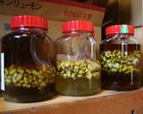 またたび酒の作り方作り方3写真