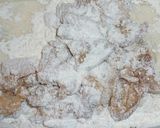 四川風 メチャ辛 鶏の唐揚げ "辣子鶏"作り方4写真