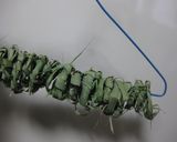 ハーブティー　レモングラスのお楽しみ作り方8写真
