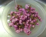 押し花保存♪桜の塩漬け❀作り方1写真