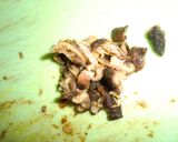 蒸しパン風、簡単肉まん作り方4写真