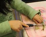 子供も大好き！食べやすくて美味！七草がゆ作り方4写真