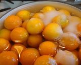 金柑の甘露煮作り方5写真