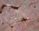 豚ヒレ肉の簡単クレイジーソルト焼き作り方2写真
