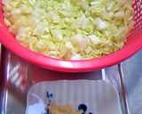 ダブルでジューシー☆絶品焼き餃子作り方1写真