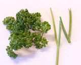 パセリふりかけとうずらの玉子で七草がゆ作り方1写真
