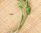 邪気退散！無病息災 七草粥✿七草図鑑付き作り方5写真