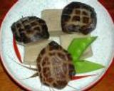 亀椎茸と高野豆腐の煮しめ作り方11写真