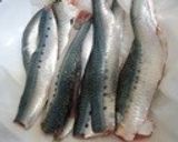 イワシとカイワレのペペロンチーノ作り方1写真