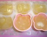 冬瓜ゼリー（りんご味）作り方7写真