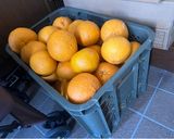 甘夏ポン酢の作り方(備忘録)作り方1写真