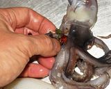 いかす豚作り方4写真