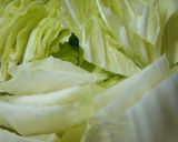 白菜た～っぷり♪焼売（しゅうまい）鍋作り方7写真