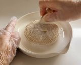 れんこんのはさみ焼き｜作り置き・お弁当に◎作り方3写真