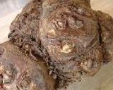 ヤツガシラの煮物作り方1写真